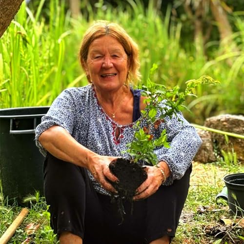 Creageivity 36 - with Voice / Stage Actor / Writer Amanda Booth