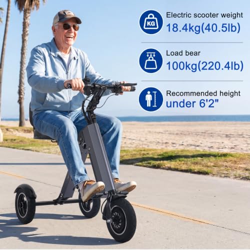 Image of Electric Scooter 3 Wheels Foldable E-Trike with Backrest Seat for Adults