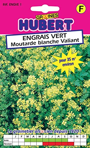 Graines de Moutarde Blanche Pour 35 m² - 40 grammes