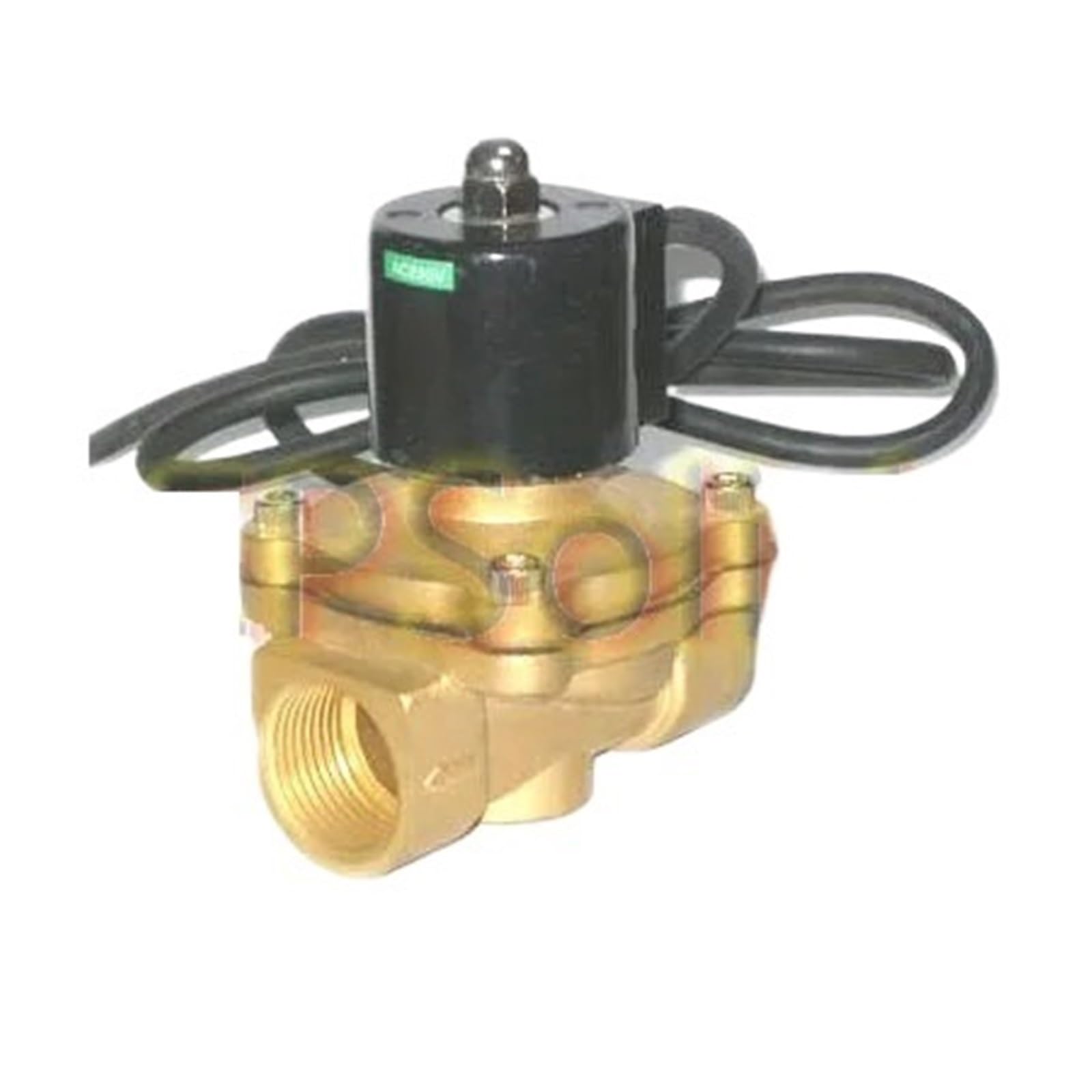 Électrovanne IP68 sous-marine étanche en laiton 2W200-20-G AC220V