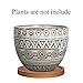 G EPGardening 5.5in Geometry Ceramic Planter Large Round Succulent Planter Flower Pot Indoor and Outdoor Brown Set of 2