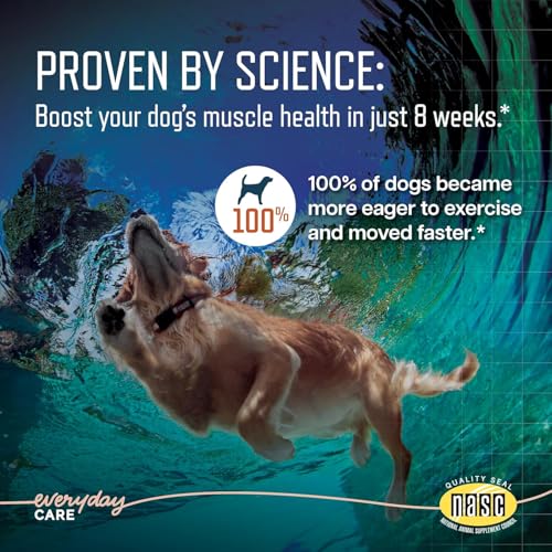 Image of Virbac URSOLYX Soft Chews for Dogs | Muscle Health Support for Senior, Active or Recovering Dogs, Medium 30-60lbs | 60 Count 2- Month Supply
