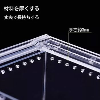Amazon | レプタイルボックス 一体水漏れ防止 爬虫類 飼育ケース