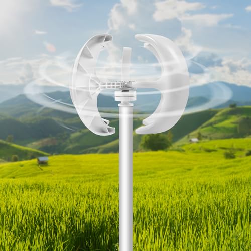 RocoReny Wind 600W Turbine Generator, 24V 5 Blades Lantern Motor