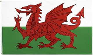 Stormflag Welsh flag Wales Flags UV Fade Resistant 3x5ft Welsh Wales Flag 90cmx150cm Polyester 90g/m2 with Two Eyelets
