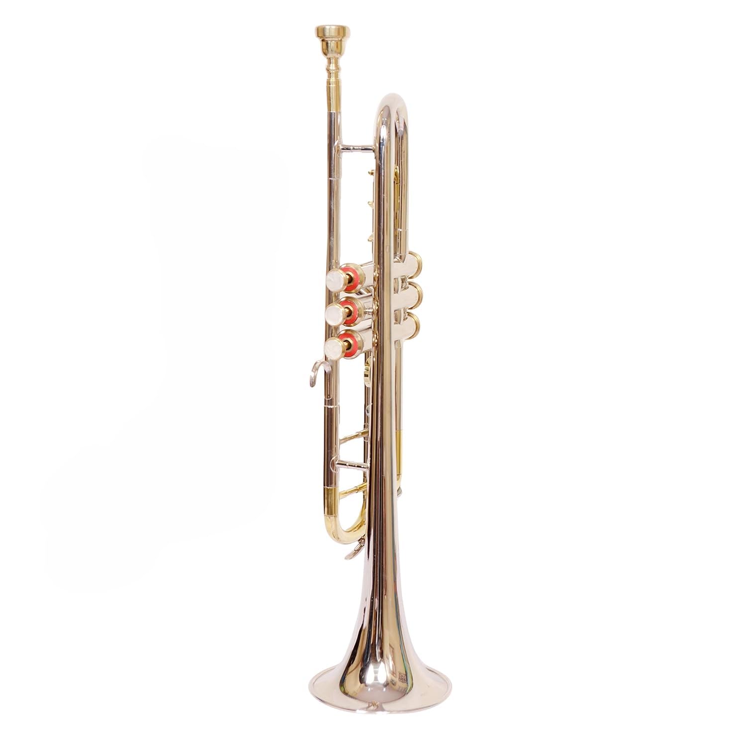 Tromba Bb Pitch con custodia rigida, molla, boccaglio e paio di guanti in design unico, qualità di esportazione per band da concerto, principianti, intermedi e professionisti