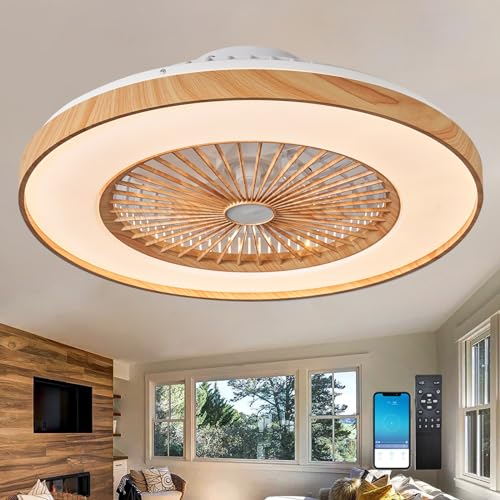 Ventilateur de plafond avec lumière silencieux moteur DC réversible 50 cm