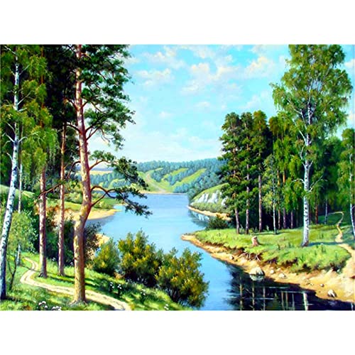 Peinture numero adulte pour decoration maison et grand salon