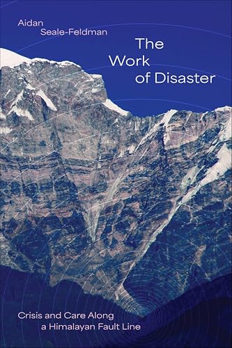Cover of The Work of Disaster
