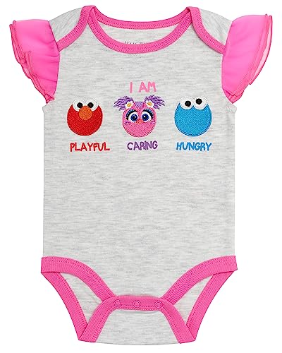 Sesame Street baby-girls 4 Piece Set - Short Sleeves T-shirt, Legging Pants With Tutu Skirt, Onepiece Bodysuit, Shorts3