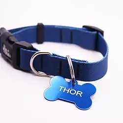 Coleira Cachorro Yoo Pets e Plaqueta Identificação Nome e Telefone PETS (P (28 cm a 41 cm)