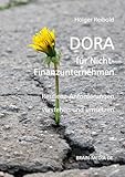 DORA für Nicht-Finanzexperten: Resilienz-Anforderungen verstehen und umsetzen