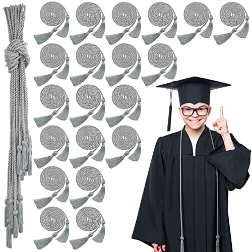 Shappy Silver 20 Pcs 2026 Graduation Cord Bulk Graduation Tassel Honor Cord Handfasting Braided Cords Graduating Yarn Honor Cords for Class of 2026 by Shappy - Used condition - US$8.66