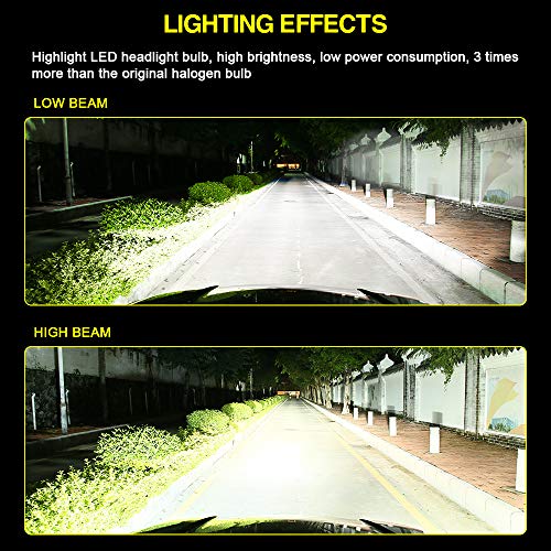 Teguangmei Lampadina 9006 LED,10000LM 55W 6000K