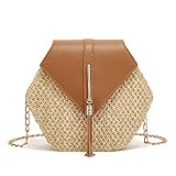 Crossbody Bags for Women Tassel Small Straw Beach Bag Satchel Bag Shoulder Bag Hobo Bags Purses Tote