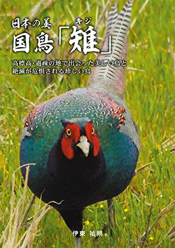 日本の美国鳥 雉 キジ 伊東 祐朔 伊東 祐朔 本 通販 Amazon
