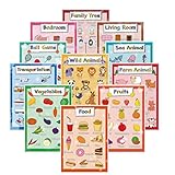 12 Educational Poster for Toddler,Homeschool Kindergarten Classroom - Numbers Alphabet Days Colors a