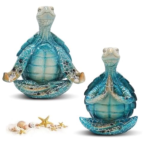 Figurine Tortue De Mer Nizirioo Cover