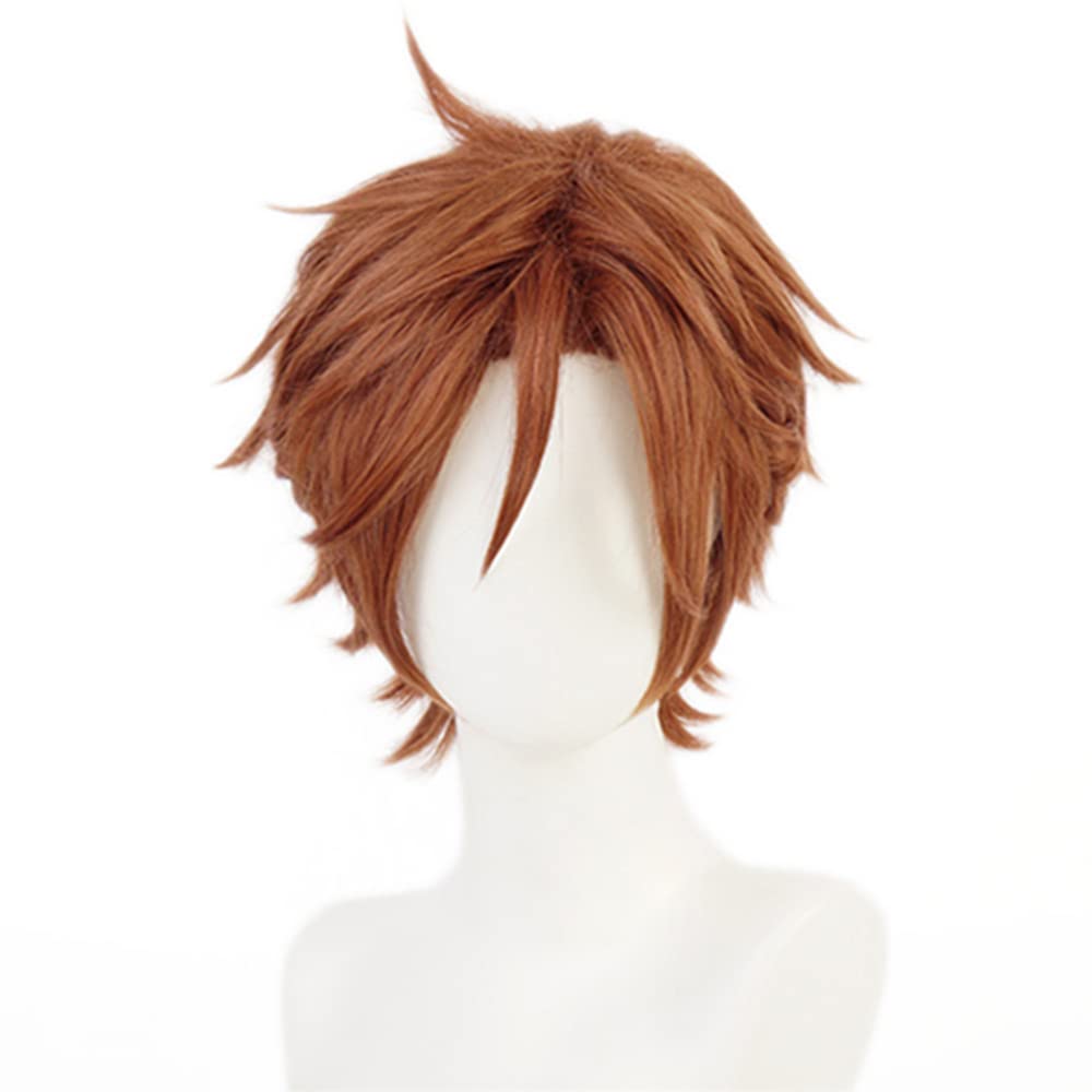 Amazon.co.jp: あんスタ 三毛縞斑 ウィッグ 耐熱 コスプレ
