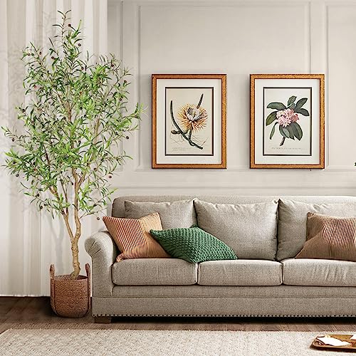 Feelead 7Ft Faux Olive Tree - Fake Potted Olive Silk Tree With Planter Natural Olive Branches And Realistic Leaves Artificial Tree For Home House Office Decor Indoor thumb #3