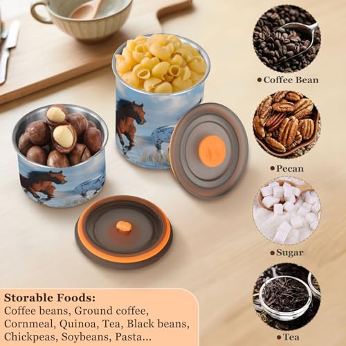 Contenedor al vacío para café Qilmy acero inoxidable 500 ml miniatura 6