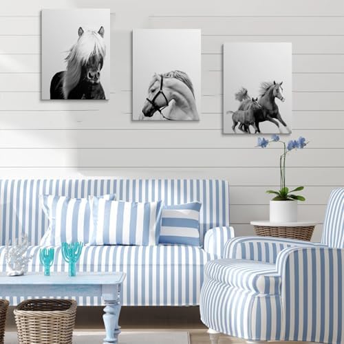 Toile cheval pour salon moderne : triptyque déco murale 40x60 cm