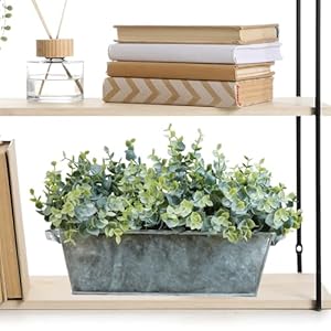 Winlyn Faux Eucalyptus Plants in Rustic Galvanized Metal Rectangular Planter Farmhouse Greenery Arrangement Artificial Eucalyptus Potted Plants for Home Office Table Centerpiece Mantel Shelf Décor Winlyn Faux Eucalyptus Plants in Rustic Galvanized Metal Rectangular Planter Farmhouse Greenery Arrangement Artificial Eucalyptus Potted Plants for Home Office Table Centerpiece Mantel Shelf Decor