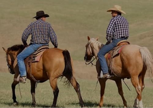 Age of Horses Used - Larry Reinhold