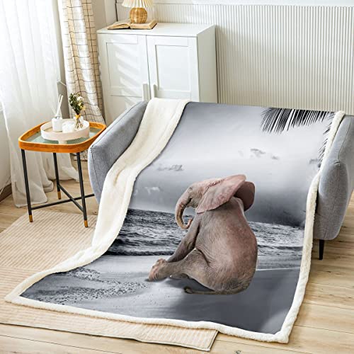 Manta de franela de animales de elefante, color gris, playa, paisaje de playa, para niños, regalo de Navidad, manta de poliéster suave con tema de océano natural para sofá, tamaño individual (60 x 79