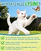 L-Lysine for Cats,Lysine Drops Immune Support Supplement,Sneezing,Cold,Allergy Relief,Runny Nose,Feline Respiratory,Natural Antibiotics for Cats with Colostrum,Taurine Cat(Roast Chicken Flavor/2floz) #1