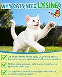 Lysin Katze - L-Lysin Tropfen für Katzen und Kätzchen, Kätzchen Immunsystem, Schnupfen, Linderung von Allergien, Niesen, Nahrungsergänzungen mit Vitaminen und Mineralien, Kolostrum, Taurin