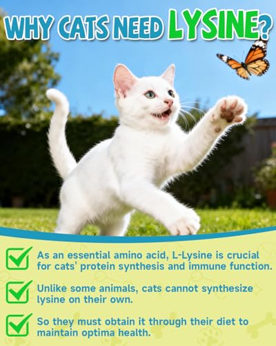 Lysin Katze - L-Lysin Tropfen für Katzen und Kätzchen, Kätzchen Immunsystem, Schnupfen, Linderung von Allergien, Niesen, Nahrungsergänzungen mit Vitaminen und Mineralien, Kolostrum, Taurin