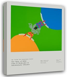 The Role of Mhc Class Ii Molecules in Autoimmune Diseases (1991) 24x31 UnFramed Art Print Poster Ready for Framing by National Institutes Of Health
