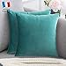 Douceur De Plumes Lot de 2 Housse de Coussin décorative Vert d'eau Clair Velours 50x50 cm Uni, Taie d'oreiller Turrquoise Carré Doux et Moderne Salon Canapé Scandinave (2 Vert d'eau Clair)