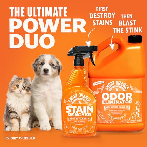 Image of Angry Orange Pet Odor Eliminator for Dog and Cat Urine, Carpet Stains, and Strong Smells - Orange Rush Scent Cleaner - 1 Gallon