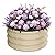 ZXZYHFTY Round Galvanized Raised Garden Bed kit,White Outdoor Garden Raised Planter Box, Round Large Metal Raised Garden Beds for Vegetable 2 * 2 * 1ft 1Pack