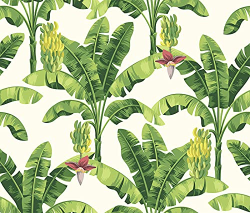 Adhesivo decorativo fotomurale autoadhesiva 152x104 para pared de salón 3