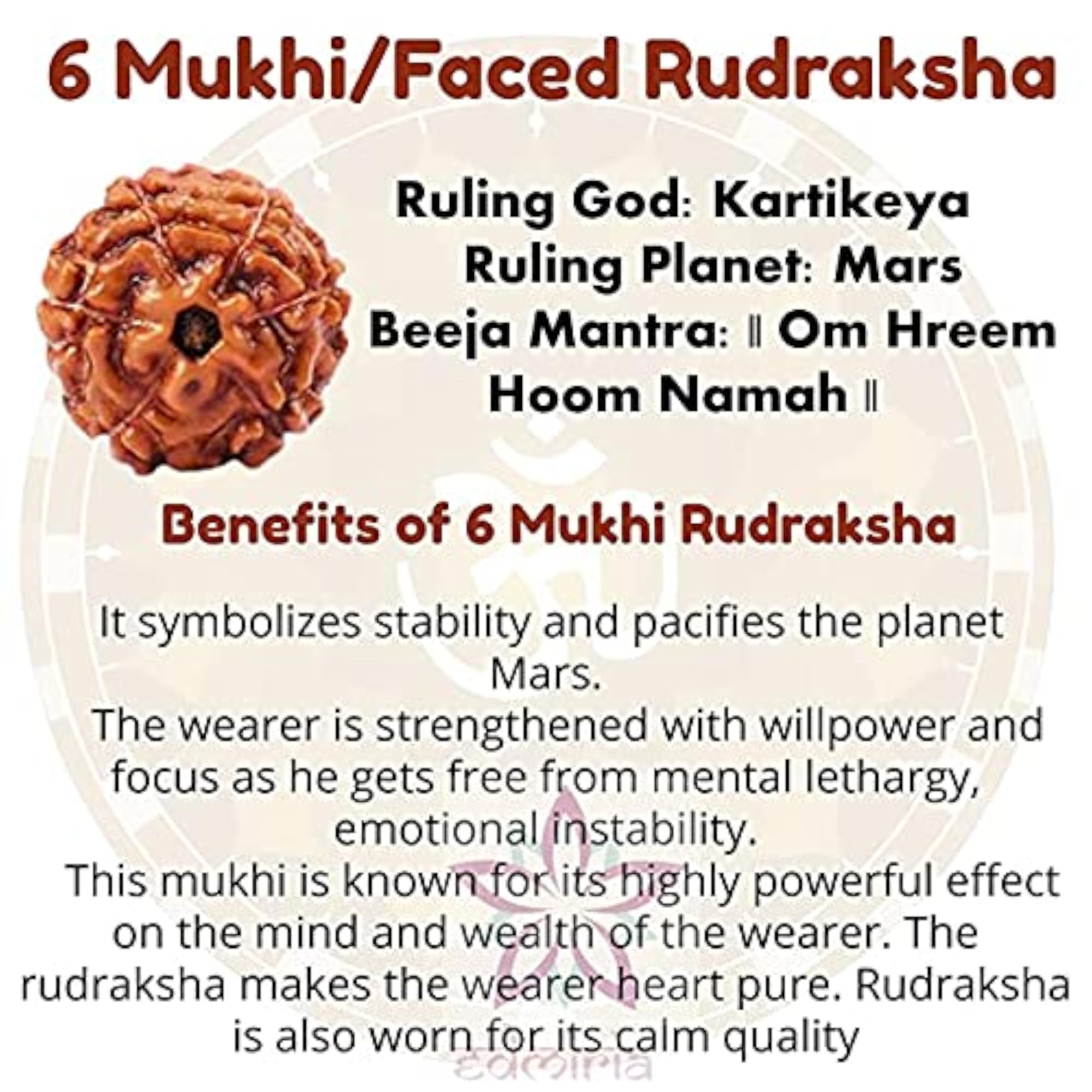 6 Mukhi Nepali Rudraksha Bead, Certified