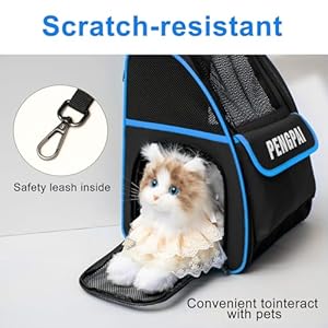   Cat-Dog-Backpack-Carrier-Pet-Carrier-Backpack-for-Medium-Small-Dogs-Cat-Puppy-Kitten-Bunny-up-to-15lbs-Breathable-Mesh-Dog-Travel-Backpack-for-Hiking-Walking-Outdoor-Use-Black