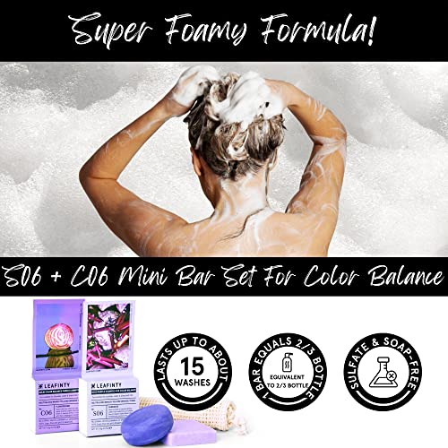 S06+C06 Solid Shampoo & Conditioner Set For Blondes Silver And Bleached Hair, All Natural Zero Waste And Organic Shampoo Bars For Hair, 2 Mini Travel Size Bars #TOP4