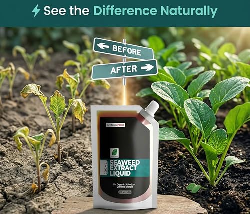 Image of B Natural Organic Seaweed Extract Liquid For Spray On Plants & Garden (1, Seaweed 200ml)