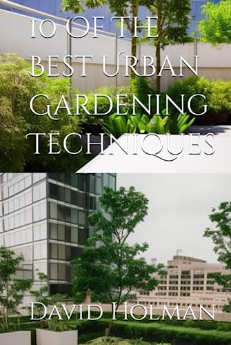 10 Of The Best Urban Gardening Techniques