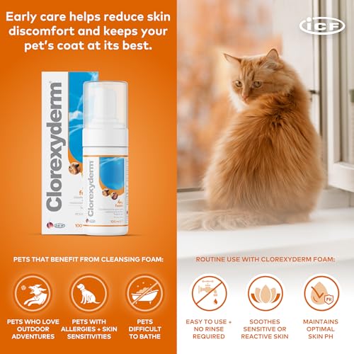 Shampoos für Haustiere Clorexyderm Sol 4% 100 Ml