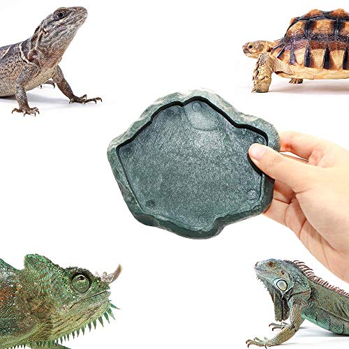 SLSON Reptile Feeder Terraium Bowl Plastic Shallow Reptile Feeder for Food and Water Feeding Dish for Lizard Gecko… - Image 7