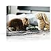 NWT Custom Canvas Prints with Your Photos for Pet/Animal, Personalized Canvas Pictures for Wall to Print Framed 11x14 inches