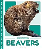  Beavers (Pond Animals)