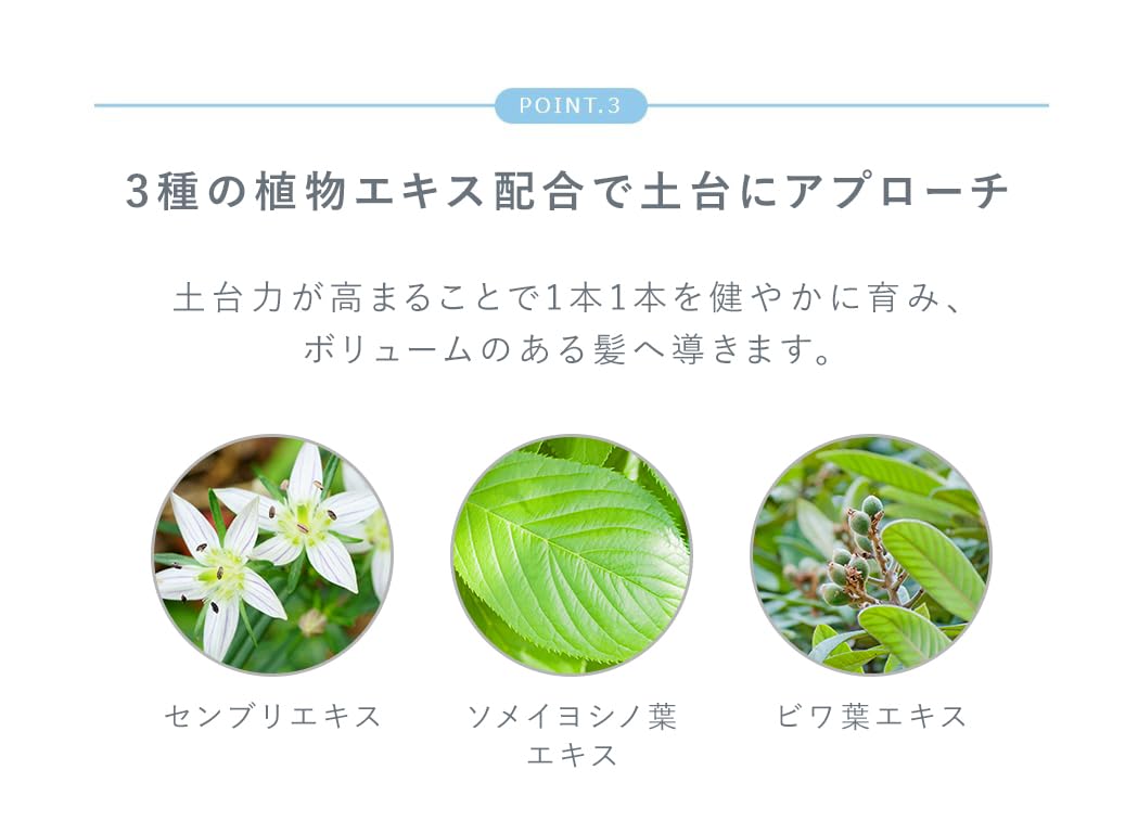 Amazon | エレクトーレ ミネラルオーレ アミノスカルプ シャンプー