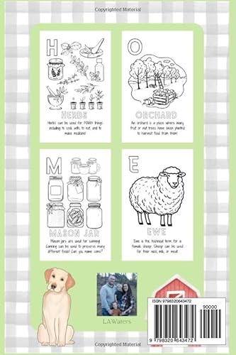 My Homesteading ABC's!: An educational coloring book about the homestead lifestyle!