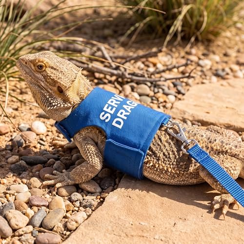 Image of Bearded Dragon Harness and Leash Set - Escape Proof Adjustable Lizard Reptiles Harness with 5 ft Short Leash for Walking Outdoor