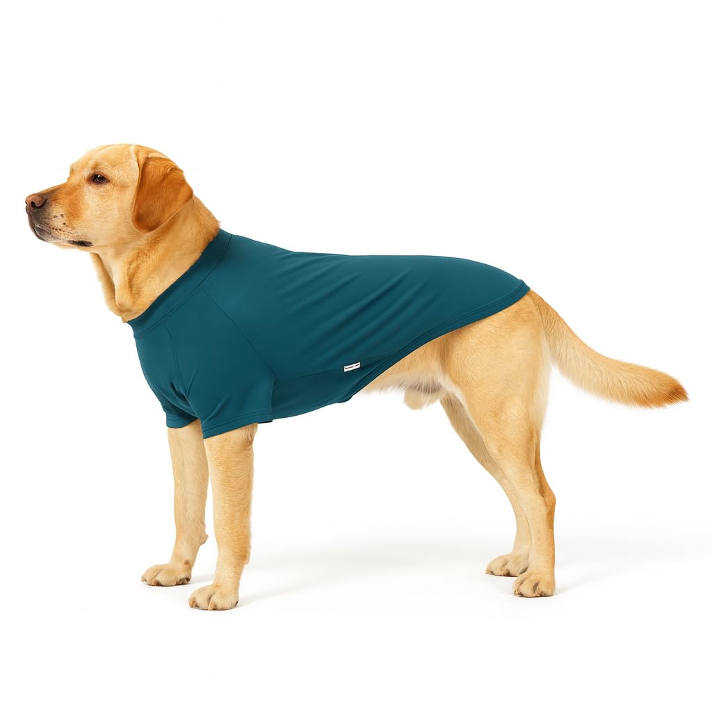 T-shirt pour animaux en coton doux haut de gamme extensible vert sarcelle